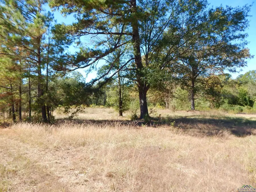 TBD 2 ACRES HWY 155, Gilmer, TX 75644 - Image #2