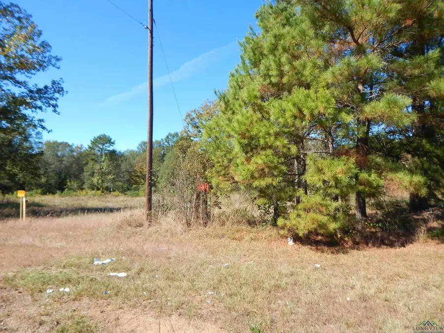 TBD 2 ACRES HWY 155, Gilmer, TX 75644 - Image #3