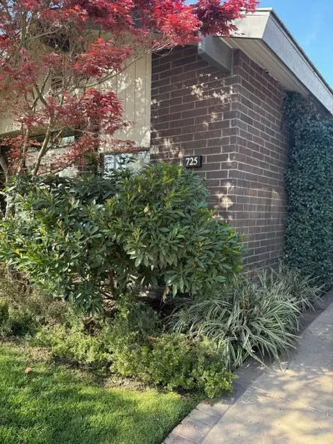 725 N Silvervale Drive, Visalia, CA 93292 - #2