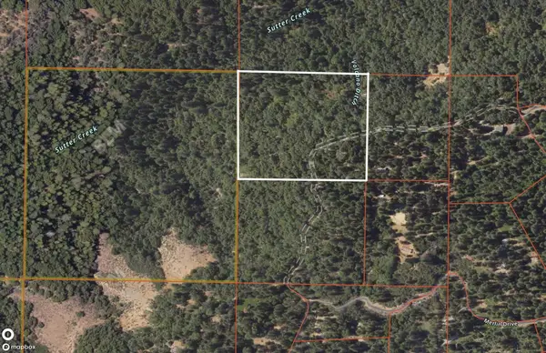 24100 Canterbury Road, Pioneer, CA 95666