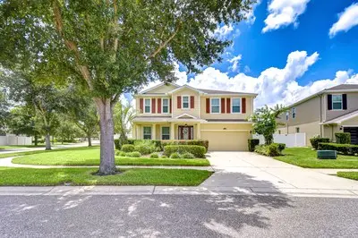 2499 Calvano Drive, Land O Lakes, FL 34639 - Image #1