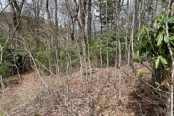 Lot 3 Cora's Path, Blowing Rock, NC 28605