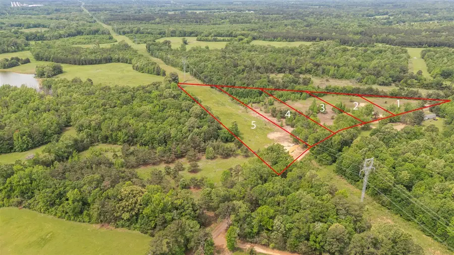 Lot 3 CR 1552, Long Branch, TX 75669 - #3