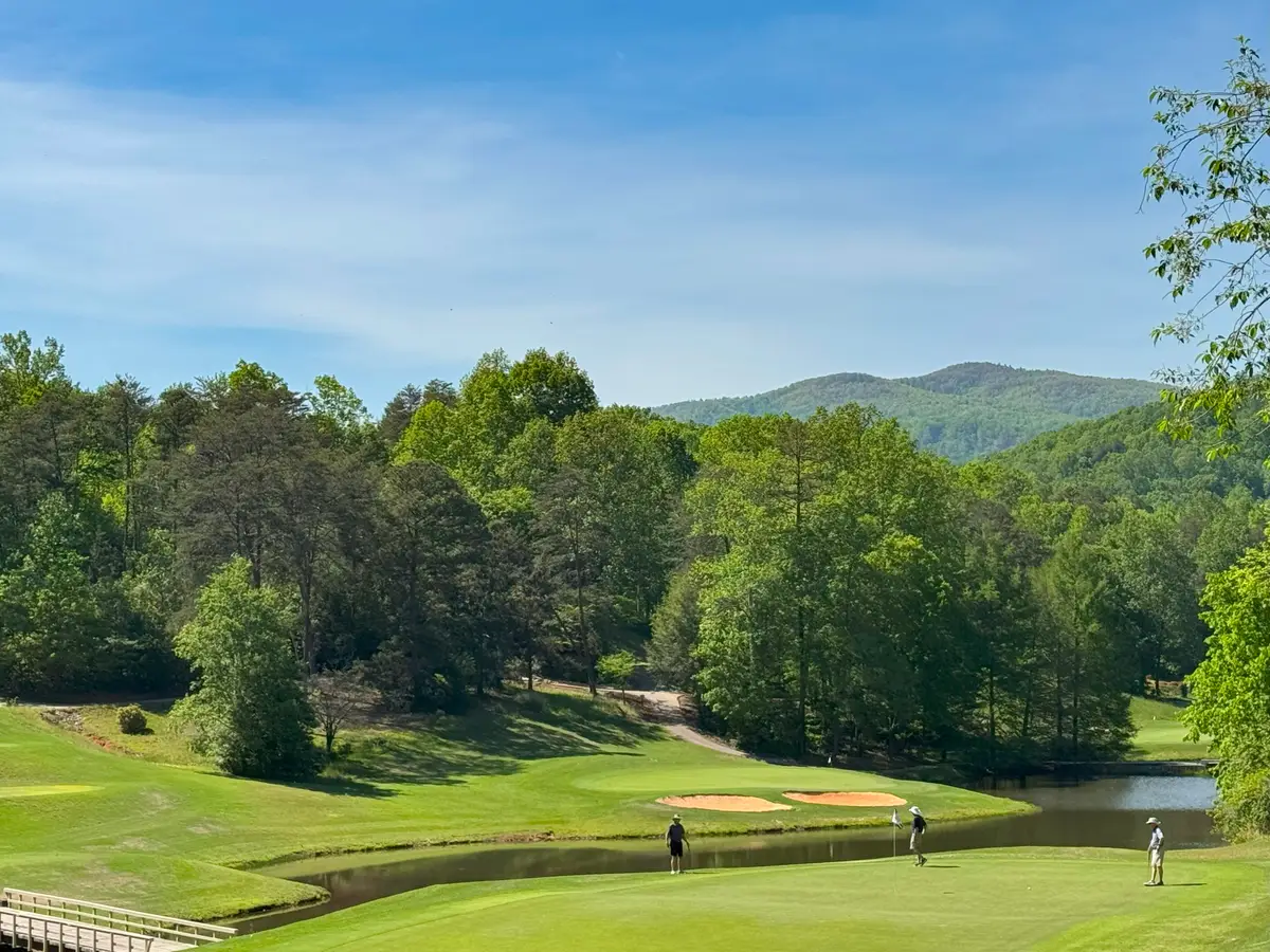 156 Sheepnose Drive, Lake Lure, NC 28746 - Image #1