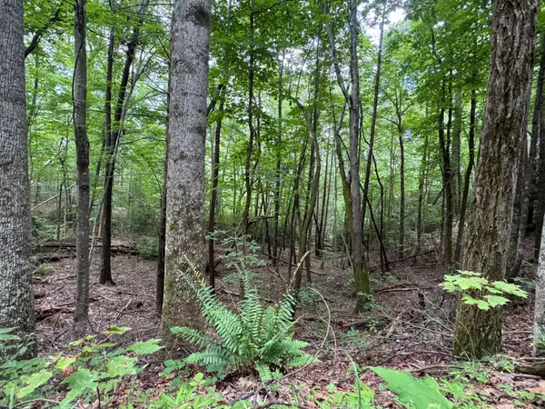 0 Quail Ridge Road #216, Lake Lure, NC 28746