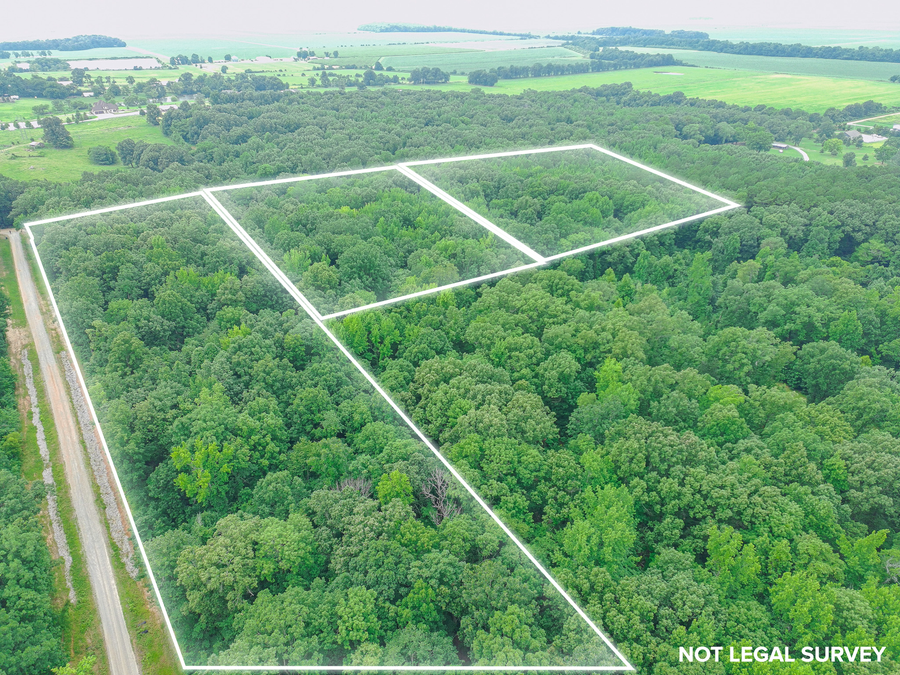 3 County Road 160, Jonesboro, AR 72404 - #3