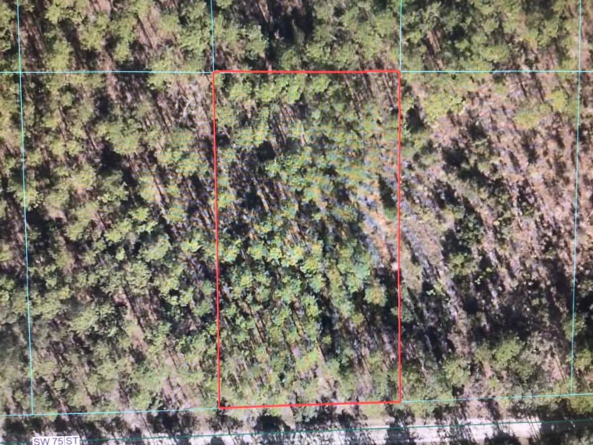 0 SW 75 Street, Dunnellon, FL 34432 - #1