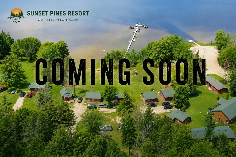 17461 W Norton Rd., Gould City, MI 49838 - #2