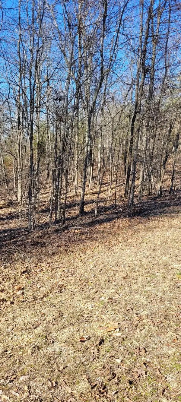 1 Eagle Shore Dr, Dover, TN 37058