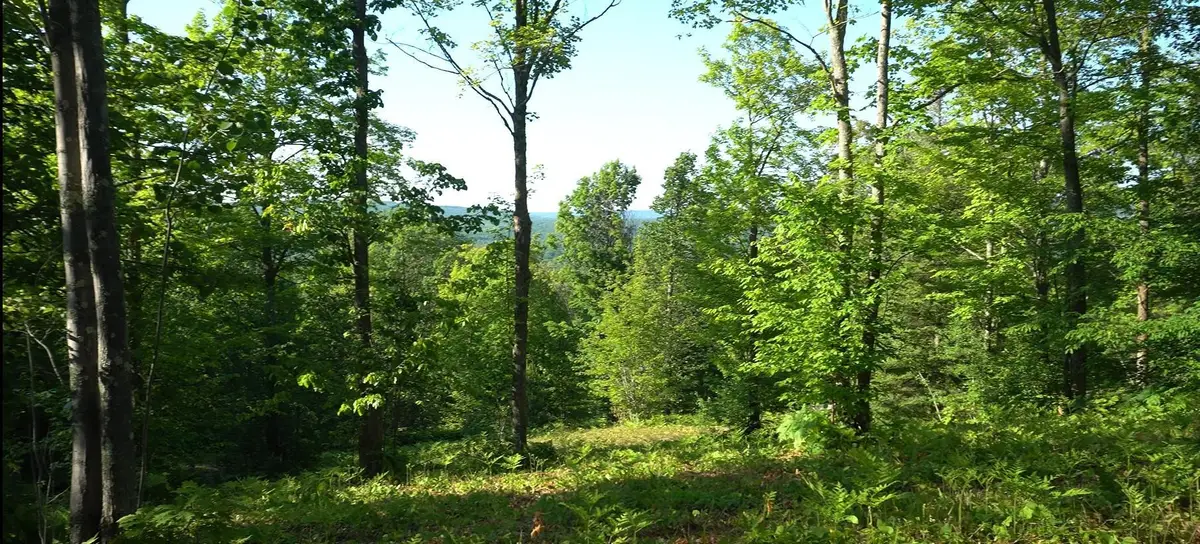 83xxx - Lot 13 Ashwabay Road, Bayfield, WI 54814 - #1