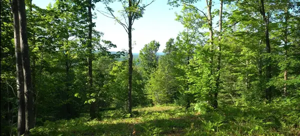 83xxx - Lot 13 Ashwabay Road, Bayfield, WI 54814