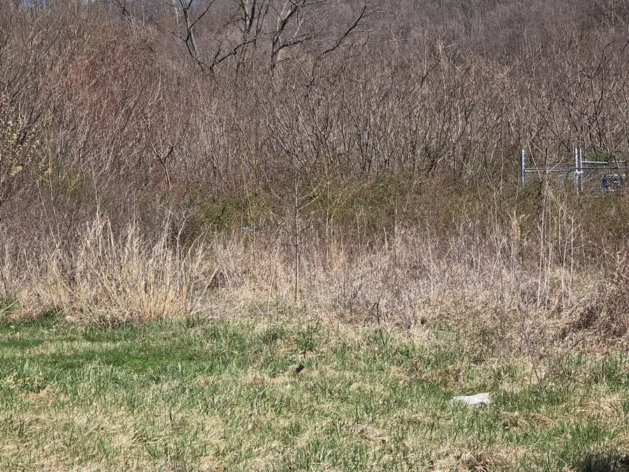 00 County Road 1, South Point, OH 45680 - Image #3