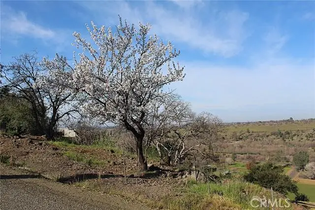 0 Rim Rock, Chico, CA 95928 - #3