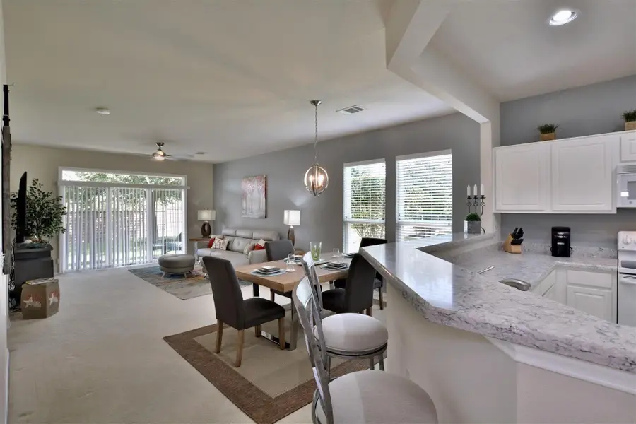 247 Bonham Loop, Georgetown, TX 78633 - #3