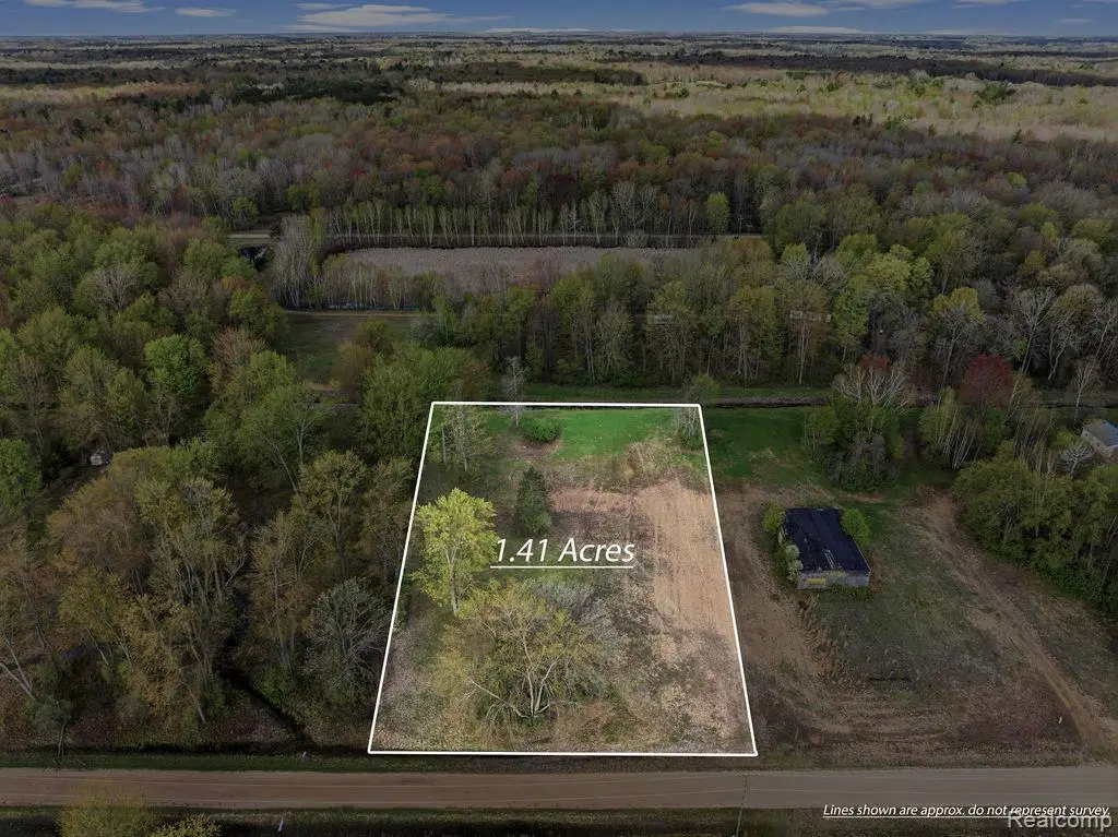 #0099 V/L Natures Nest Road, Vassar, MI 48768 - #1