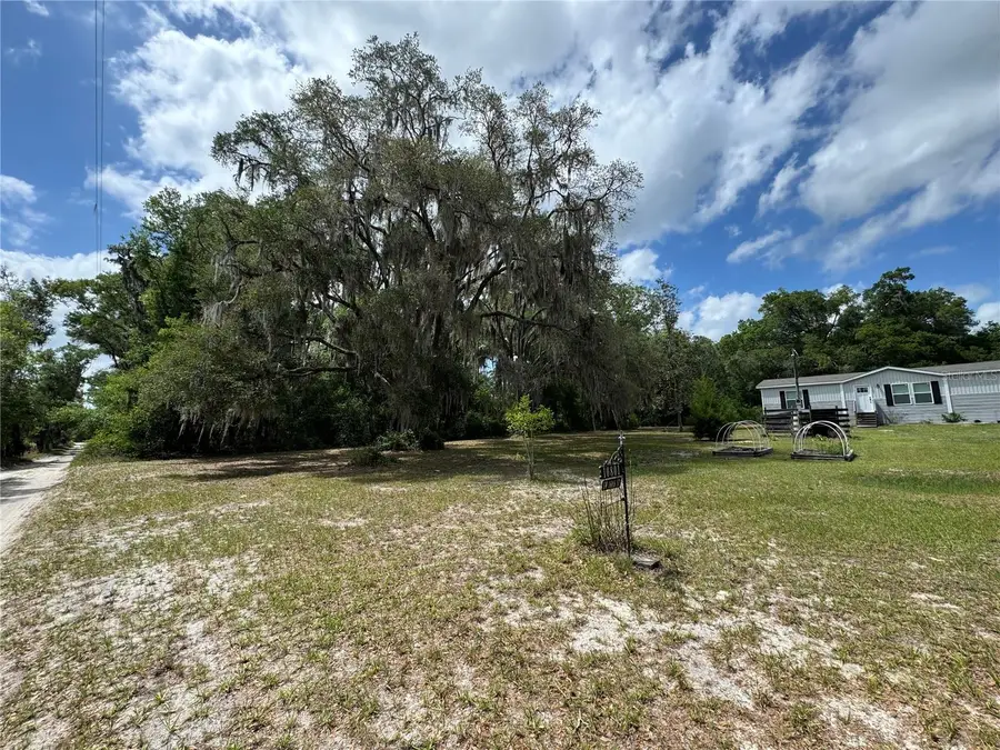 10801 SW 160th Street, Dunnellon, FL 34432 - #3