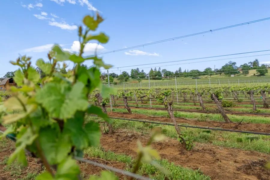 2871 Griffin Creek, Medford, OR 97501 - Image #2