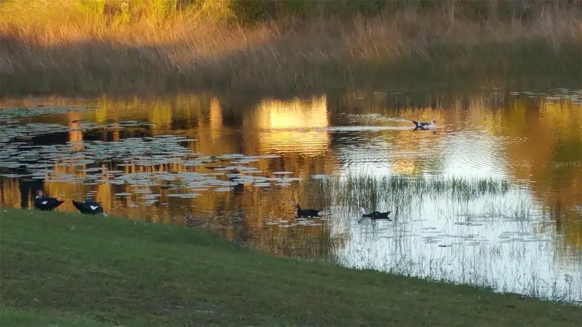 2321 ASBURY ROAD, Deltona, FL 32738 - #1