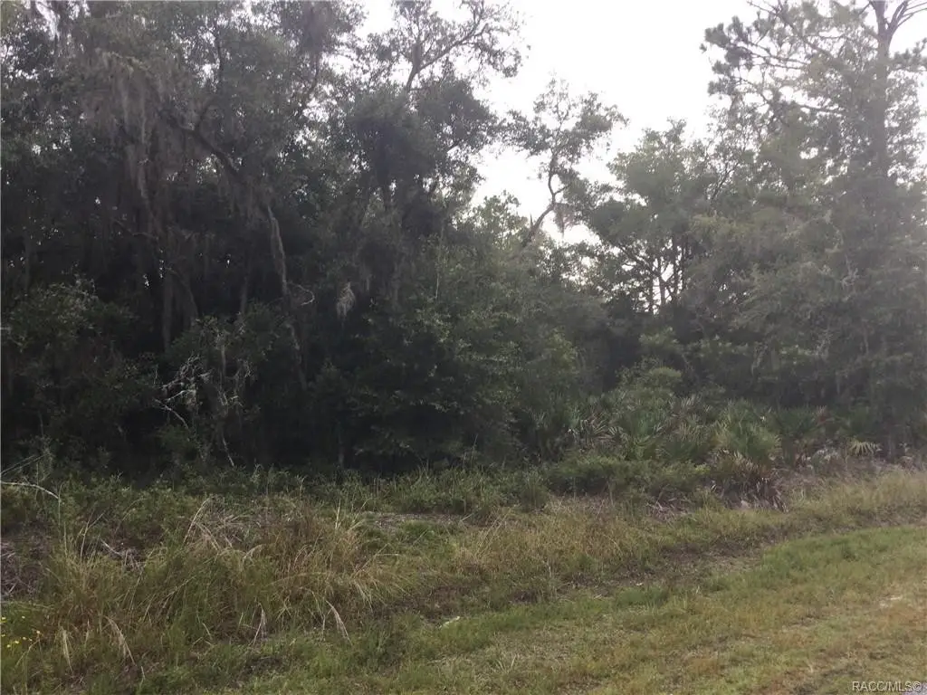 8585 N Maple Avenue, Crystal River, FL 34428 - Image #1