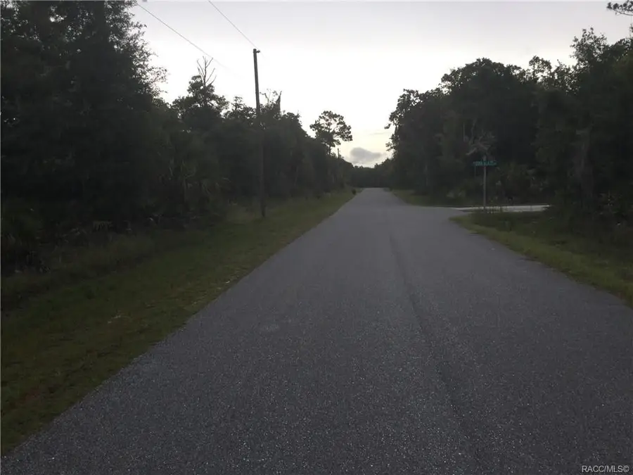 8585 N Maple Avenue, Crystal River, FL 34428 - Image #2