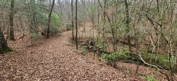 LOT 18 Gray Fox Trail, Blairsville, GA 30512