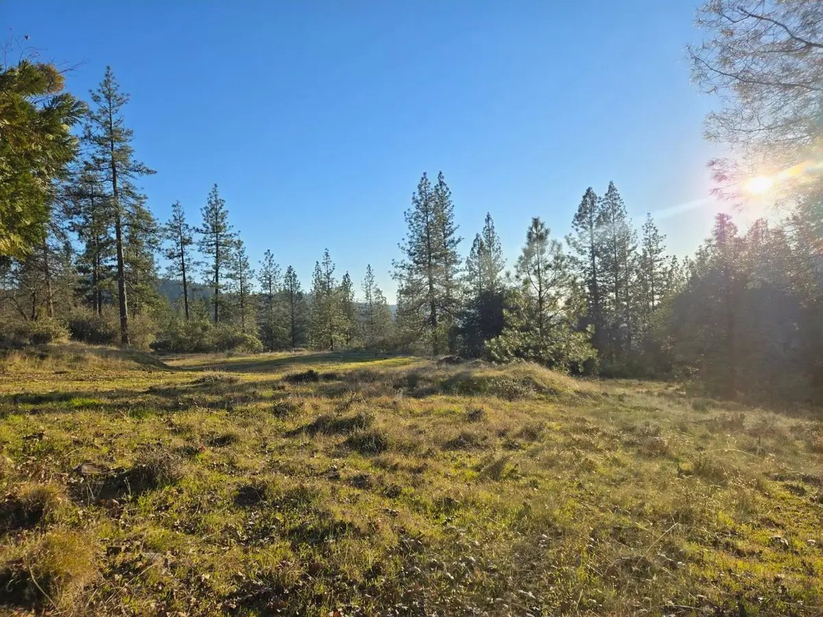 0 Double Eagle Way, Brownsville, CA 95919 - Image #1