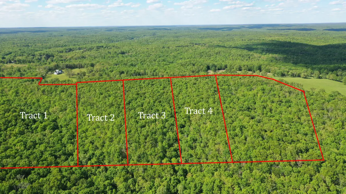 Tract 4 County Rd 4215, Salem, MO 65560 - #1