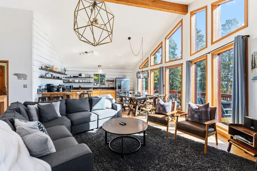 1471 Bobcat Lane, Fairplay, CO 80440 - #3