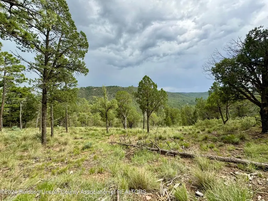 732 Center Street, Ruidoso, NM 88345 - Image #3