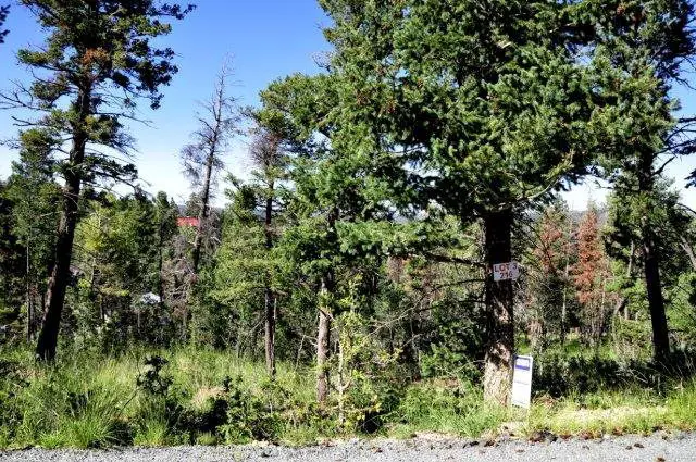 216 Cummings Drive, Ruidoso, NM 88345 - #1