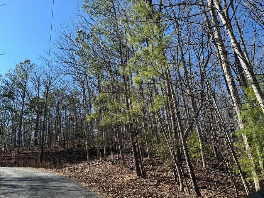 0 Dover Circle, Ranger, GA 30734 - Image #3