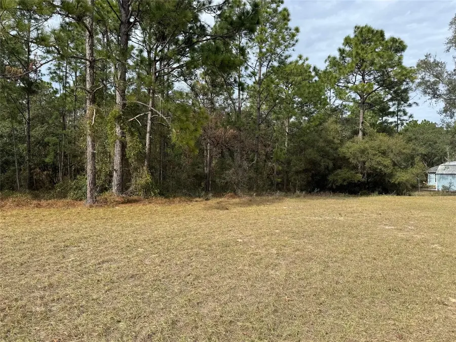 Lot 9 SW 61st Avenue Road, Ocala, FL 34473 - #3