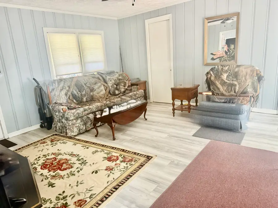1171 Lake Drive, Hornbeak, TN 38232 - #2