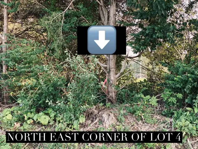 Lot 5 Falcon Road, Carbondale, IL 62901 - #3