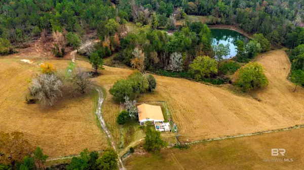 9023 County Rd 34, Millry, AL 36558