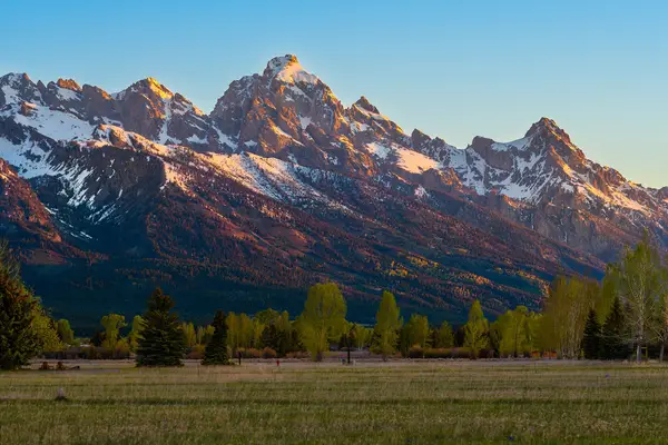 805 E Oatgrass Road, Jackson, WY 83001