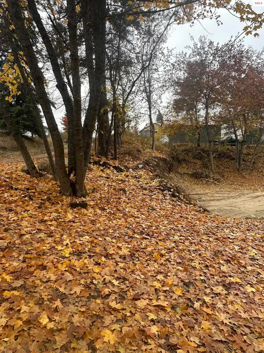 NNA (.393 ac.) 2nd St, Priest River, ID 83856 - #2