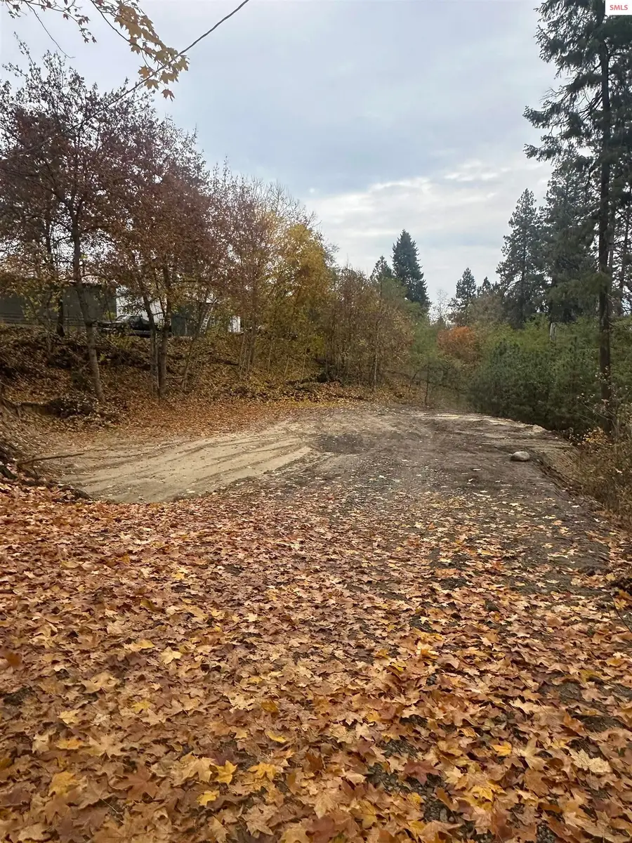 NNA (.393 ac.) 2nd St, Priest River, ID 83856 - #3