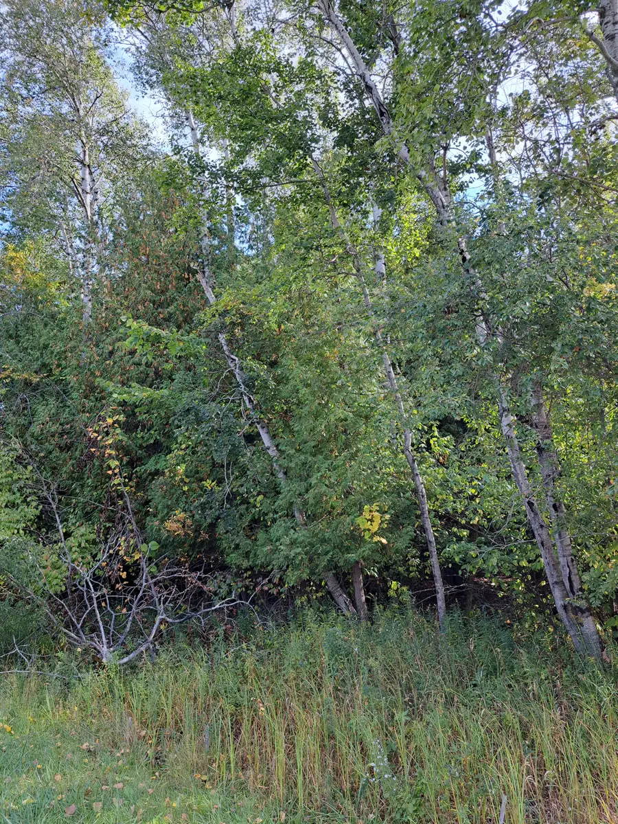 County Hwy C, Sturgeon Bay, WI 54235 - Image #3