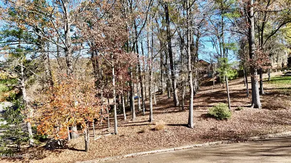 0 Brighton Drive, Clinton, MS 39056