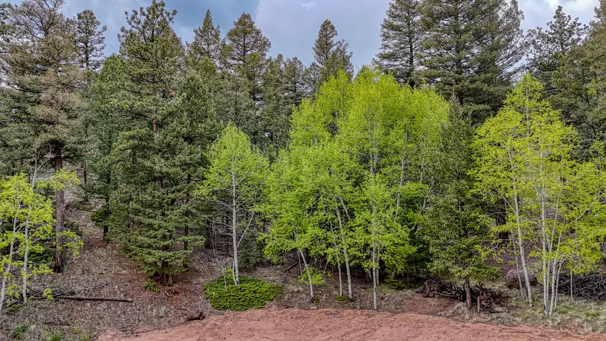 918 Pinon Lane, Florissant, CO 80816 - #1