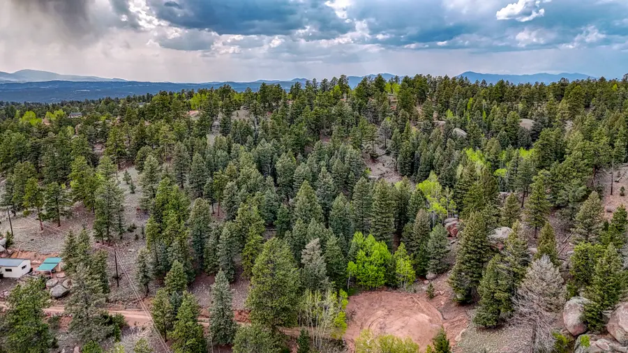 918 Pinon Lane, Florissant, CO 80816 - #3