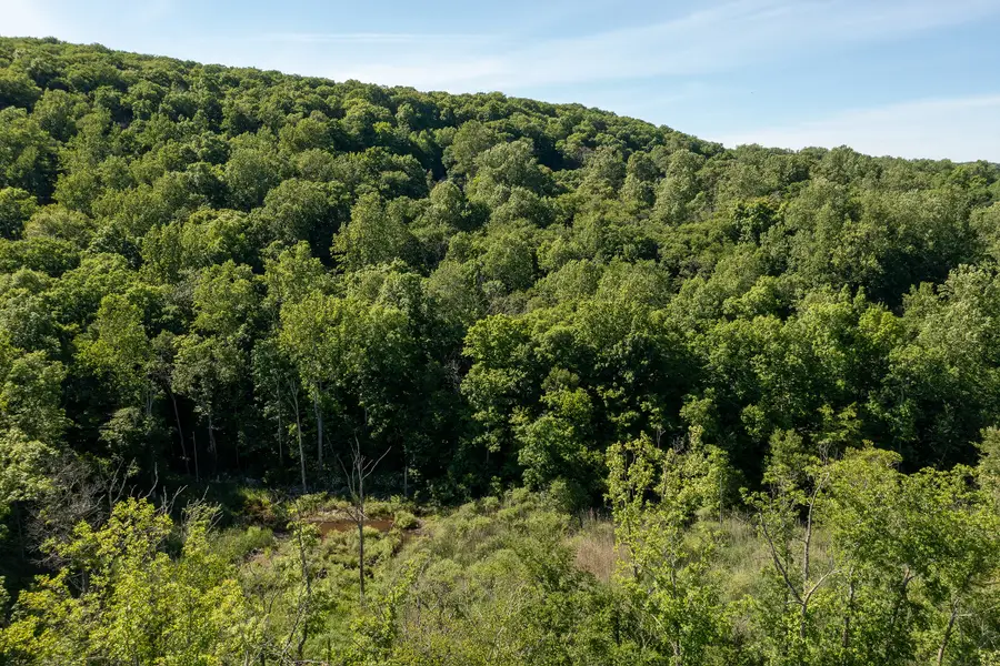 Bullymuck Road, New Milford, CT 06776 - #2