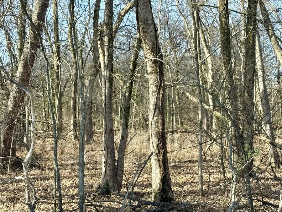 5156 Batchelor St, Clarksville, TN 37043 - Image #3