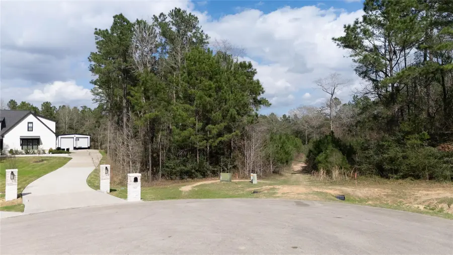 11605 Kirstens Court, Montgomery, TX 77316 - #3