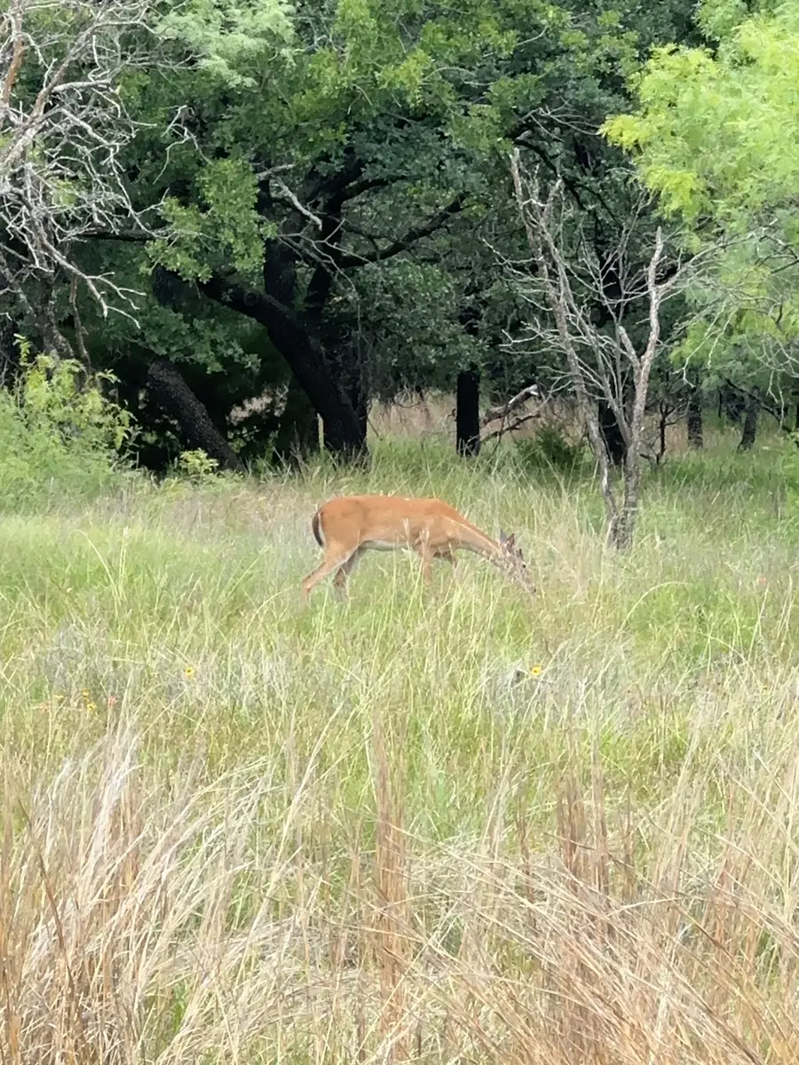 Lot 237 Vista Pointe Drive, Chico, TX 76431 - #2