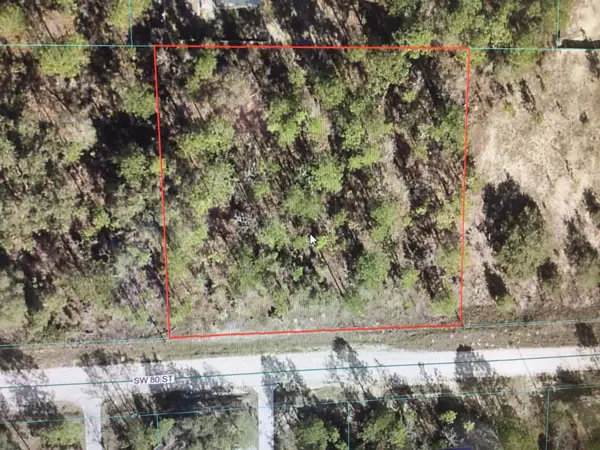 0 80 Street, DUNNELLON, FL 34432