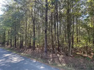 Lot 6 Big Lake Road, Pineville, LA 71360 - Image #1