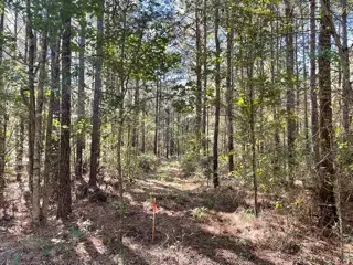 Lot 6 Big Lake Road, Pineville, LA 71360 - Image #2