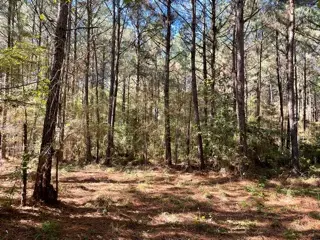 Lot 6 Big Lake Road, Pineville, LA 71360 - Image #3